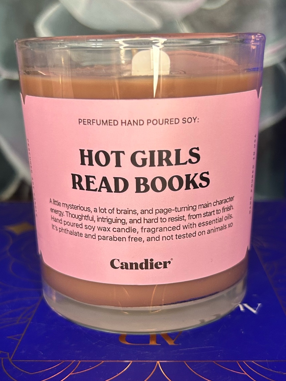 Candier by Ryan Porter “Hot Girls Read Books” Scented Candle